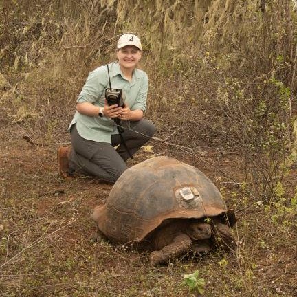 Emily Donovan by tortoise